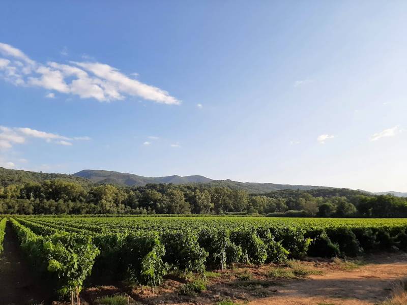 Domaine en pleine nature proche de Béziers.